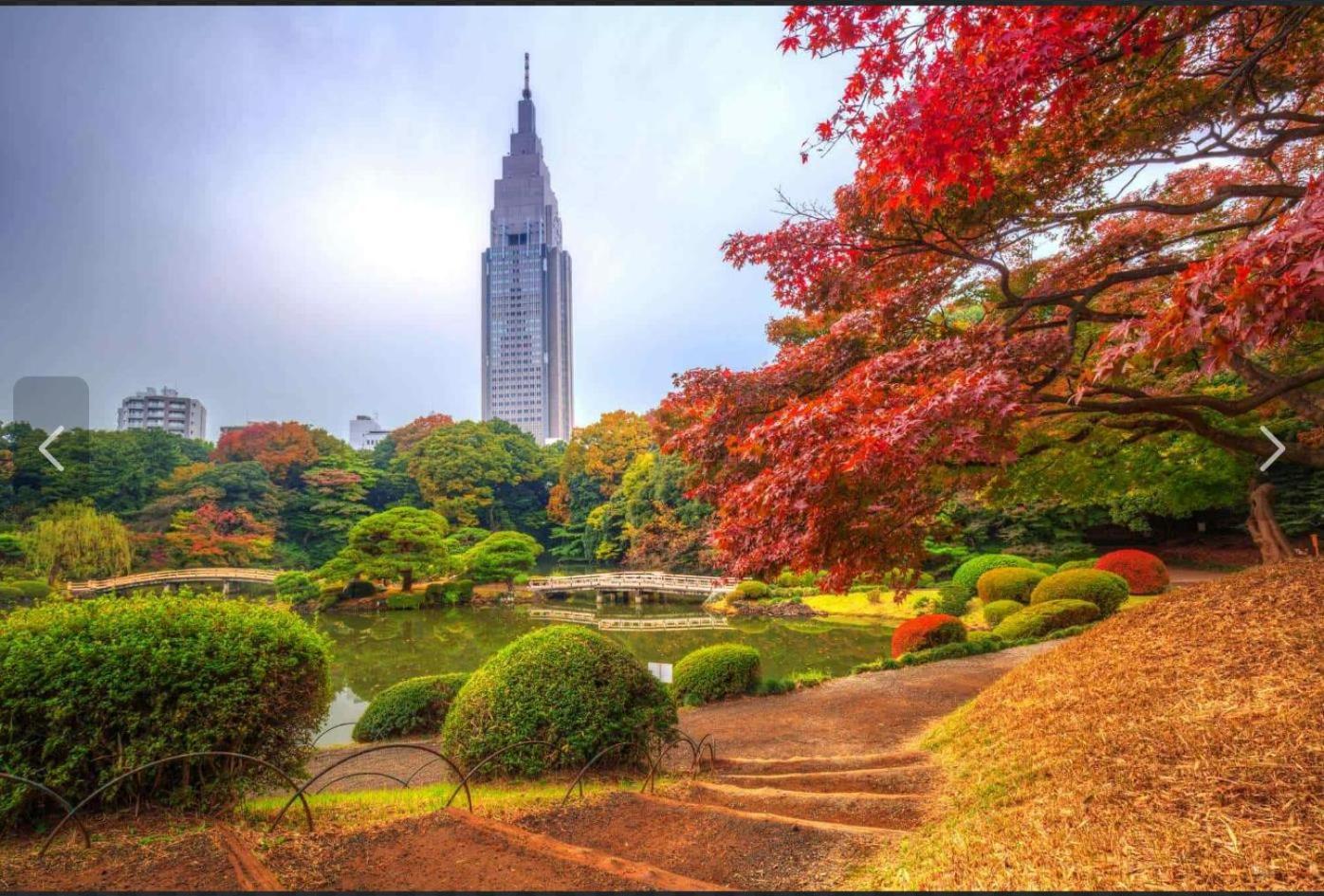 诚信东新宿 โตเกียว ภายนอก รูปภาพ